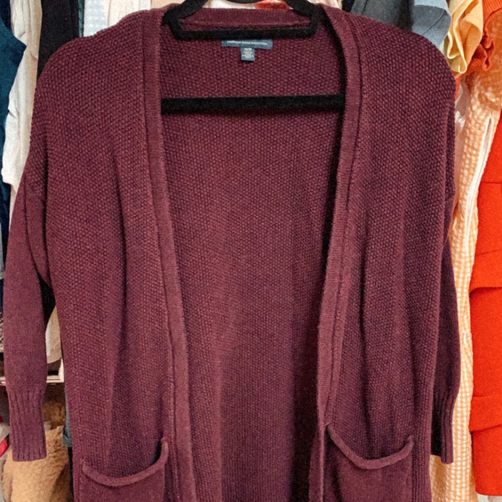 American Eagle Outfitters Cardigan Sweater